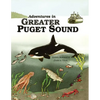 Adventures In Greater Puget Sound - Paperback