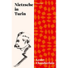 Nietzsche in Turin: The End of the Future - Paperback