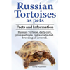 Russian Tortoises as Pets. Russian Tortoise facts and information. Russian tortoises daily care, pro's and cons, cages, diet, costs.: Facts and Inform - Paperback