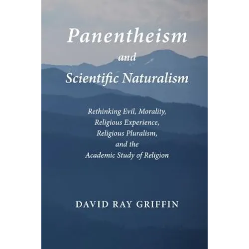 Panentheism and Scientific Naturalism: Rethinking Evil, Morality, Religious Experience, Religious Pluralism, and the Academic Study of Religion - Paperback