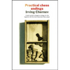 Practical Chess Endings - Paperback