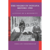 Negro in Indiana Before 1900: A Study of a Minority - Paperback
