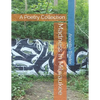 Madness In Milwaukee: A Poetry Collection - Paperback