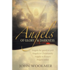 Angels of Glory and Darkness - Paperback