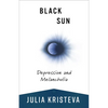Black Sun: Depression and Melancholia - Paperback