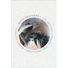 White Feathers: The Nesting Lives of Tree Swallows - Hardcover