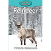 Reindeer - Paperback