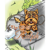 The Life of Ralph - Paperback