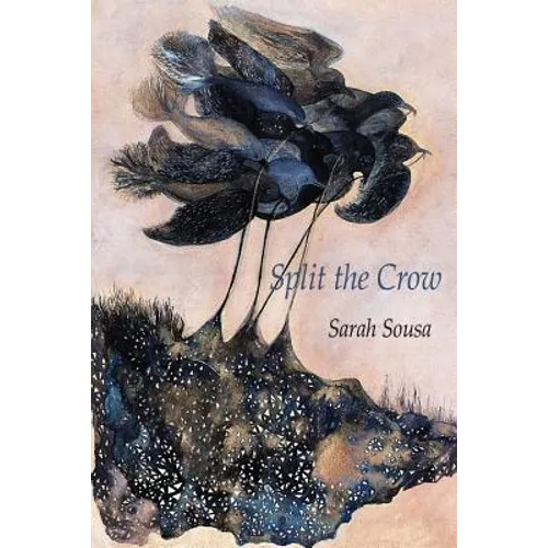 Split the Crow - Paperback