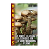 Mushrooms: 20 Simple to Advanced Techniques How To Grow Mushrooms At Home - Paperback