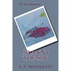 Granny The Spy - Paperback
