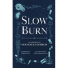 Slow Burn: An Anthology of Household Horror - Paperback
