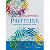 Proteins: Structure and Function - Paperback