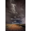 The Meaning of Names - Paperback