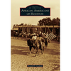 African Americans of Houston - Paperback