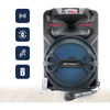 Emerson Portable 12" Bluetooth Party Speaker