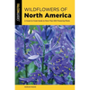 Wildflowers of North America - Paperback