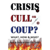 CRISIS, CULL or COUP? WHAT, HOW and WHO? Facts and Truths to Make You Think!: Exposing The Great Lie and the Truth About the Covid-19 Phenomenon. - Paperback