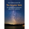 The Kosmic Web: Our spiritual and evolutionary place in the multiverse - Hardcover