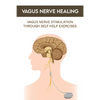 Vagus Nerve Healing: Vagus Nerve Stimulation Through Self Help Exercises: Vagus Nerve Branches - Paperback