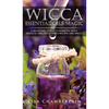 Wicca Essential Oils Magic: A Beginner's Guide to Working with Magical Oils, with Simple Recipes and Spells - Hardcover