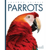 Parrots - Paperback