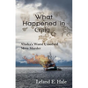 What Happened in Craig: Alaska's Worst Unsolved Mass Murder - Paperback