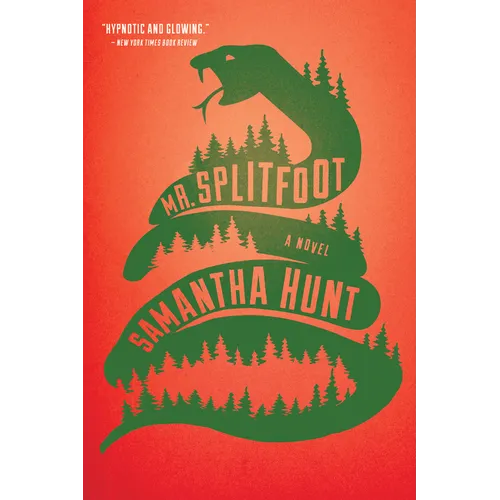 Mr. Splitfoot - Paperback