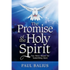 The Promise of the Holy Spirit: You Were Meant for Something More - Paperback