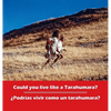 Could you live like a Tarahumara? ¿Podrias vivir como un Tarahumara?: bilingual English and Spanish - Hardcover