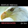 REELFOOT LAKE Wildlife Portraits: Tourism Council Edition - Paperback