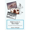 Flight Lessons 1: Basic Flight: How Eddie Learned the Meaning of it All - Paperback