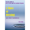 A Wave of Blessing and other meditations: Blessings, Reflections and Meditations from the author of Just for Today and The Gratitude Response - Paperback