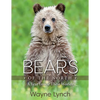 Bears of the North: A Year Inside Their Worlds - Hardcover