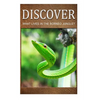 What Lives in the Borneo Jungle? - Discover: Early reader's wildlife photography book - Paperback