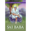 The Triple Incarnations of Sai Baba: Sri Shirdi Sai Baba, Sri Sathya Sai Baba & Future Prema Sai Baba - Paperback