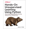 Hands-On Unsupervised Learning Using Python: How to Build Applied Machine Learning Solutions from Unlabeled Data - Paperback