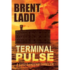 Terminal Pulse: A Codi Sanders Thriller - Paperback