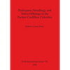 Prehispanic metallurgy and votive offerings in the Eastern Cordillera Colombia - Paperback