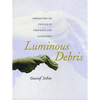 Luminous Debris: Reflecting on Vestige in Provence and Languedoc - Paperback