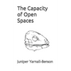 The Capacity of Open Spaces - Paperback