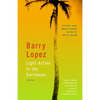 Light Action in the Caribbean: Stories - Paperback