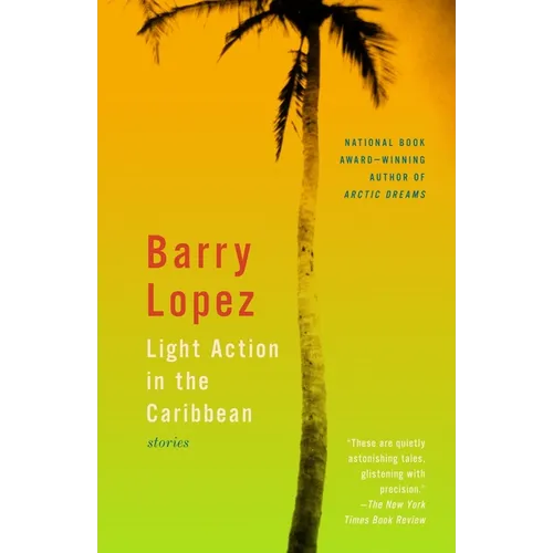 Light Action in the Caribbean: Stories - Paperback