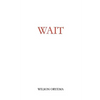 Wait - Paperback