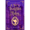 A Thief in Stickleback Hollow - Paperback