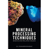 Mineral Processing Techniques Basics and Related Issues - Paperback