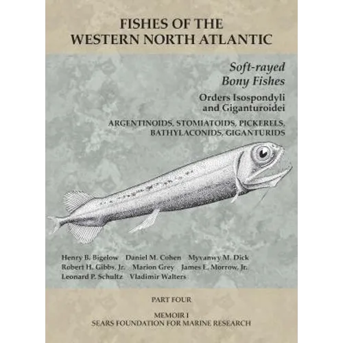 Soft-rayed Bony Fishes: Orders Isospondyli and Giganturoidei: Part 4 - Paperback