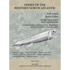 Soft-rayed Bony Fishes: Orders Isospondyli and Giganturoidei: Part 4 - Paperback
