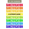 A Layman's Guide to Sanctification - Paperback