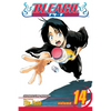 Bleach, Vol. 14: White Tower Rocks - Paperback